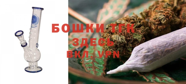 прущие грибы Верхний Тагил