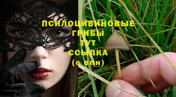 2c-b Верея
