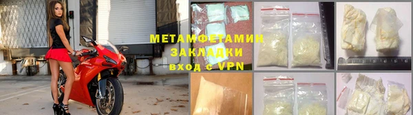 прущие грибы Верхний Тагил