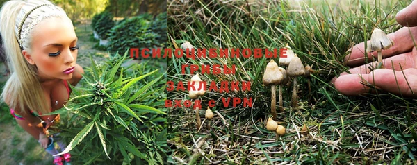 2c-b Верея