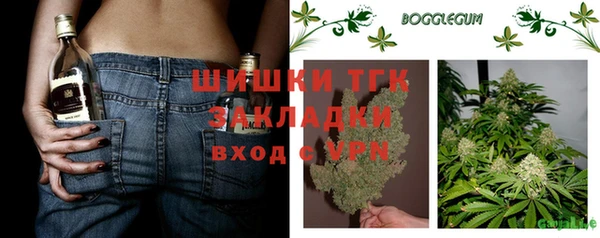 apvp Володарск