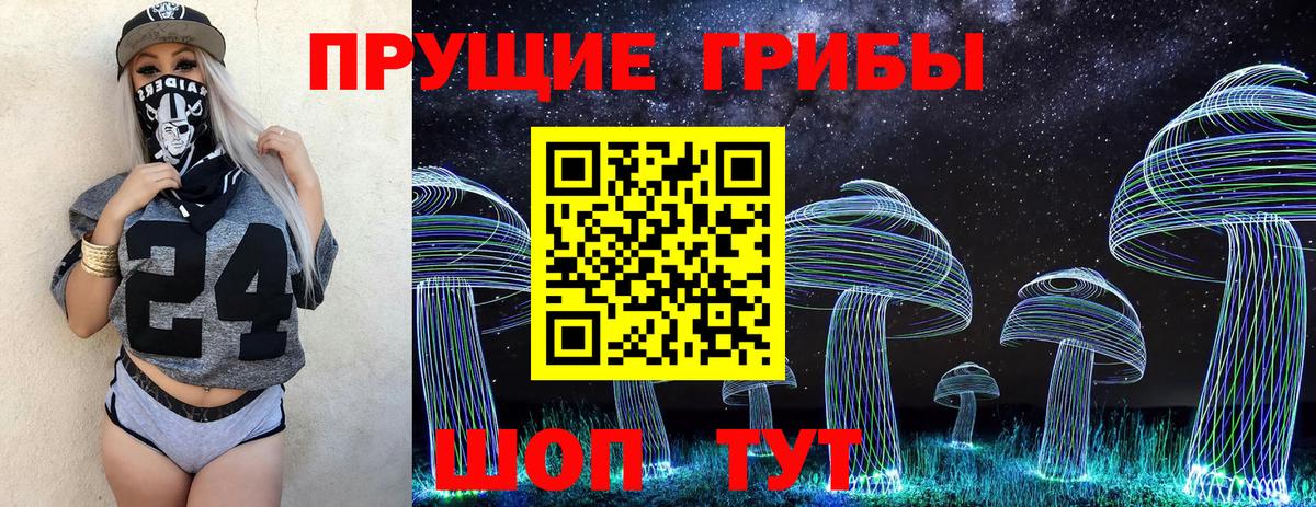 Псилоцибиновые грибы Psilocybe Вольск
