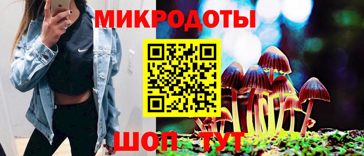 Галлюциногенные грибы Cubensis  Вход с VPN  Вольск 