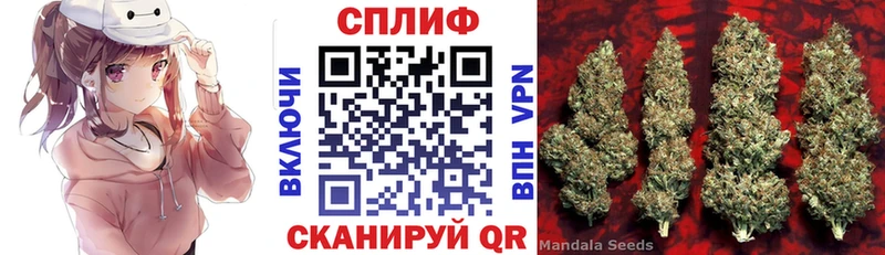 Марихуана White Widow  продажа наркотиков  Вольск 